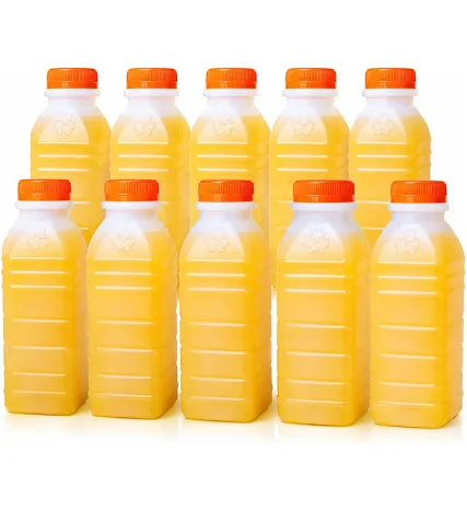 GARRAFA PARA SUCO 300 ML COM 10